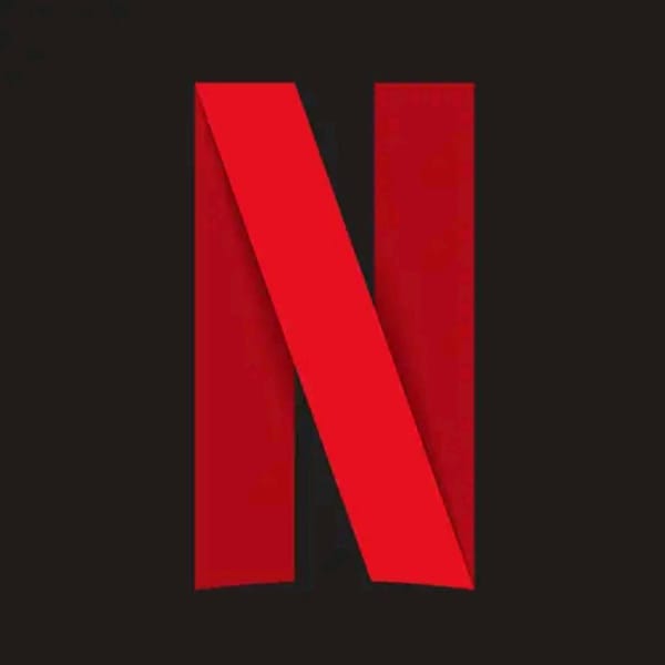 Netflix Subscription